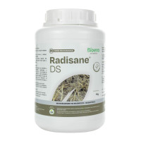 Бактофунгіцид - Радісан ДС | RADISANE DS Bioera 1 кг 
